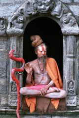 Picture of Sadhu