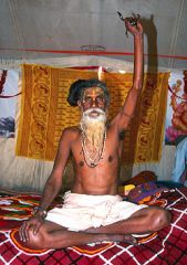 Picture of a Sadhu