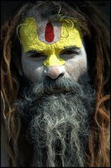 Picture of Sadhu