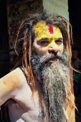 Picture of a Sadhu