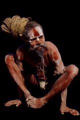 Picture of Sadhu