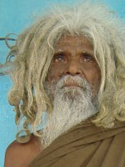Picture of a Sadhu