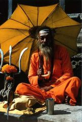 Picture of a Sadhu