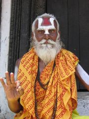 Picture of Sadhu