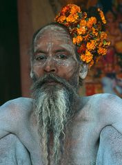 Picture of Sadhu