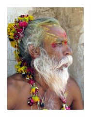 Picture of Sadhu