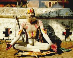 Picture of Sadhu