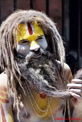 Picture of Sadhu