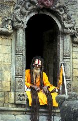 Picture of Sadhu