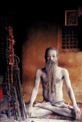 Picture of Sadhu