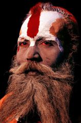 Picture of a Sadhu