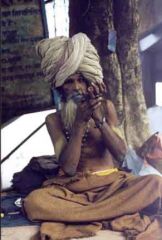 Picture of a Sadhu