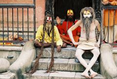 Picture of Sadhu