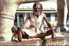 Picture of Sadhu