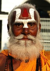 Picture of Sadhu