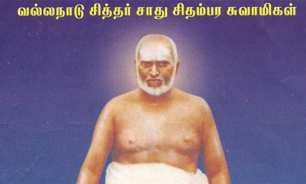 Siddhas of South India: Sadhu Chidambara Swamigal