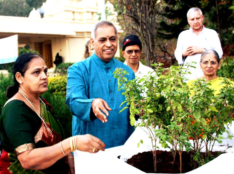 Tulsi_planting