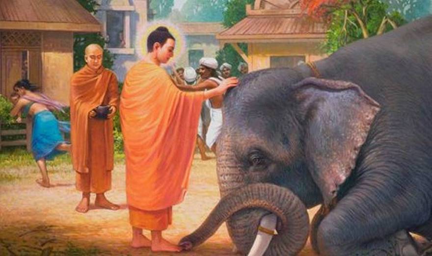 The Buddha and Caste