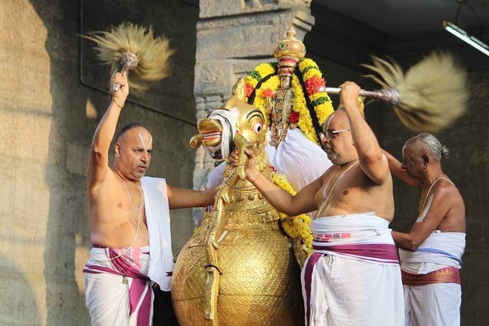 Hamsa Vahana Procession at Sri Veeraraghava Swamy Temple