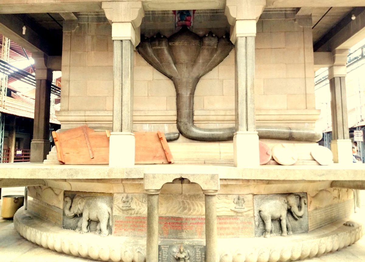 কেন্দ্রীয় গর্ভ